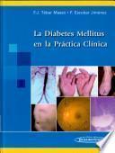 libro La Diabetes En La Práctica Clínica (ebook)