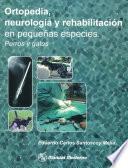 libro Ortopedia, Neurología Y Rehabilitación En Pequeñas Especies