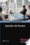 libro Gestión De Pymes