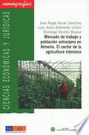 libro Mercado De Trabajo Y Población Extranjera En Almería. El Sector En La Agricultura Intensiva.