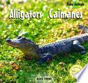 libro Alligators
