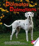 Dalmatas/dalmatians
