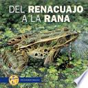 libro Del Renacuajo A La Rana
