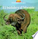 libro El Búfalo Y El Bisonte