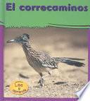 libro El Correcaminos