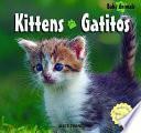 libro Gatitos