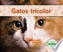 libro Gatos Tricolor