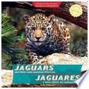 libro Jaguares Y Otros Felinos De Latinoamérica