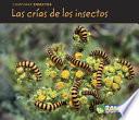 libro Las Crias De Los Insectos