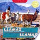 libro Llamas Y Otros Camélidos De Latinoamérica