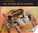 libro Los Sentidos De Los Insectos