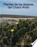 libro Plantas De Los Salares Del Chaco Árido