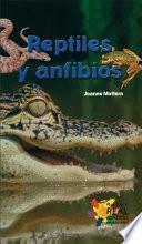 libro Reptiles Y Anfibios