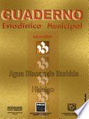 libro Agua Blanca De Iturbide Hidalgo. Cuaderno Estadístico Municipal 2001