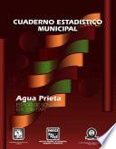 libro Agua Prieta Estado De Sonora. Cuaderno Estadístico Municipal 1997