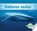 libro Ballenas Azules (blue Whales )