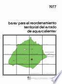 libro Bases Para El Reordenamiento Territorial Del Estado De Aguascalientes