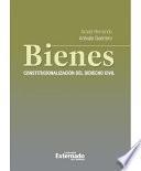 libro Bienes, Constitucionalización Del Derecho Civil