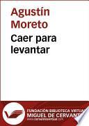 libro Caer Para Levantar