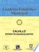 libro Calvillo Estado De Aguascalientes. Cuaderno Estadístico Municipal 1996