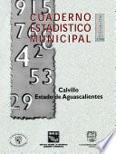 libro Calvillo Estado De Aguascalientes. Cuaderno Estadístico Municipal 1998