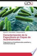 libro Caracterización De La Fagocitosis En Cepas De Acanthamoeba