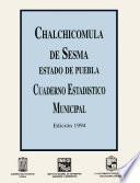 libro Chalchicomula De Sesma Estado De Puebla. Cuaderno Estadístico Municipal 1994