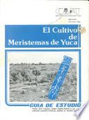 libro El Cultivo De Meristemas De Yuca