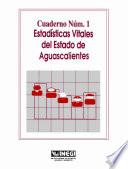 libro Estadísticas Vitales Del Estado De Aguascalientes. Cuaderno Número 1