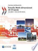 libro Estudio Multi Dimensional De Uruguay Volumen 1. Evaluación Inicial