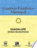 libro Guadalupe Estado De Zacatecas. Cuaderno Estadístico Municipal 1996