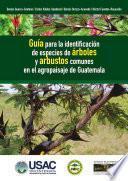 libro Guía Para La Identificación De Especies De árboles Y Arbustos Comunes En El Agropaisaje De Guatemala