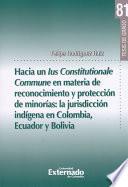 libro Hacia Un Lus Constitucionale Commune En Materia De Reconocimiento Y ProtecciÓn De MinorÍas: La JurisdicciÓn IndÍgena En Colombia, Ecuador Y Bolivia. Tesis De Grado N° 81