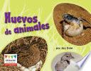 libro Huevos De Animales (animal Eggs)