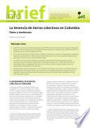 libro La Tenencia De Tierras Colectivas En Colombia