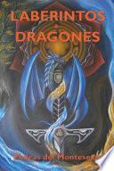 libro Laberintos Y Dragones