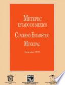 libro Metepec Estado De México. Cuaderno Estadístico Municipal 1993
