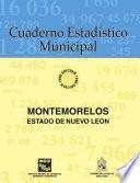 libro Montemorelos Estado De Nuevo León. Cuaderno Estadístico Municipal 1996