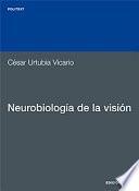 libro Neurobiología De La Visión