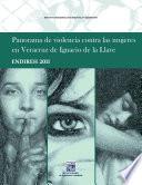 libro Panorama De Violencia Contra Las Mujeres En Veracruz De Ignacio De La Llave. Endireh 2011