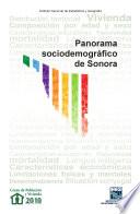 libro Panorama Sociodemográfico De Sonora