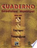 libro Reynosa Tamaulipas. Cuaderno Estadístico Municipal 2001