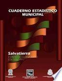 libro Salvatierra Estado De Guanajuato. Cuaderno Estadístico Municipal 1997