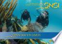 libro Snsi Open Water Book Spanish