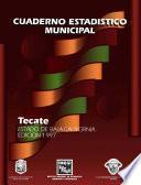 libro Tecate Estado De Baja California. Cuaderno Estadístico Municipal 1997