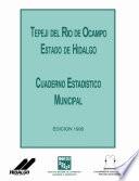libro Tepeji Del Río De Ocampo Estado De Hidalgo. Cuaderno Estadístico Municipal 1995