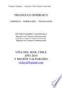 libro Triangulo Sinergico