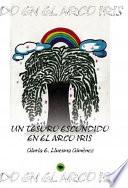 libro Un Tesoro Escondido En El Arco Iris