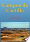 libro Campos De Castilla