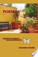 libro Poemas Historias De Amor